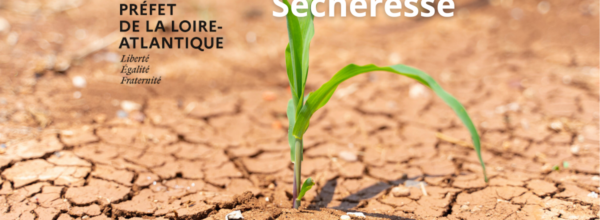 INFORMATIONS SECHERESSE