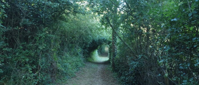 DCIM101MEDIADJI_0001.JPG Vue du ciel - O.CHARTRAIN